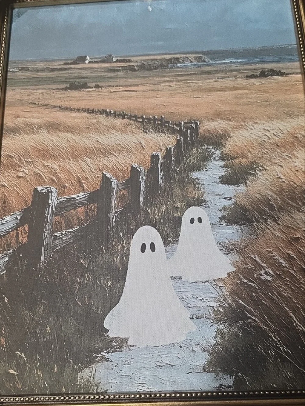 New Framed Coastal Field Wall Art with White Ghost Accents